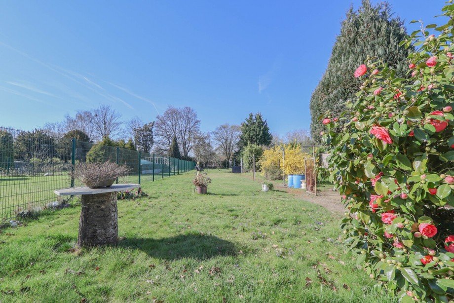 Der Garten Doppelhaush�lfte Kaarst