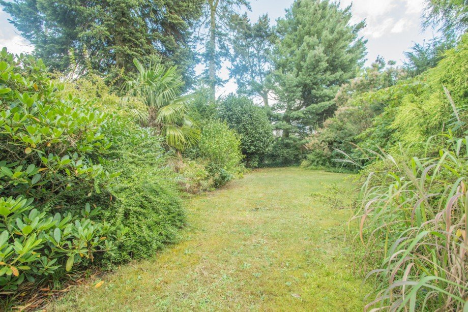 Garten Einfamilienhaus Neuss / Rosellerheide