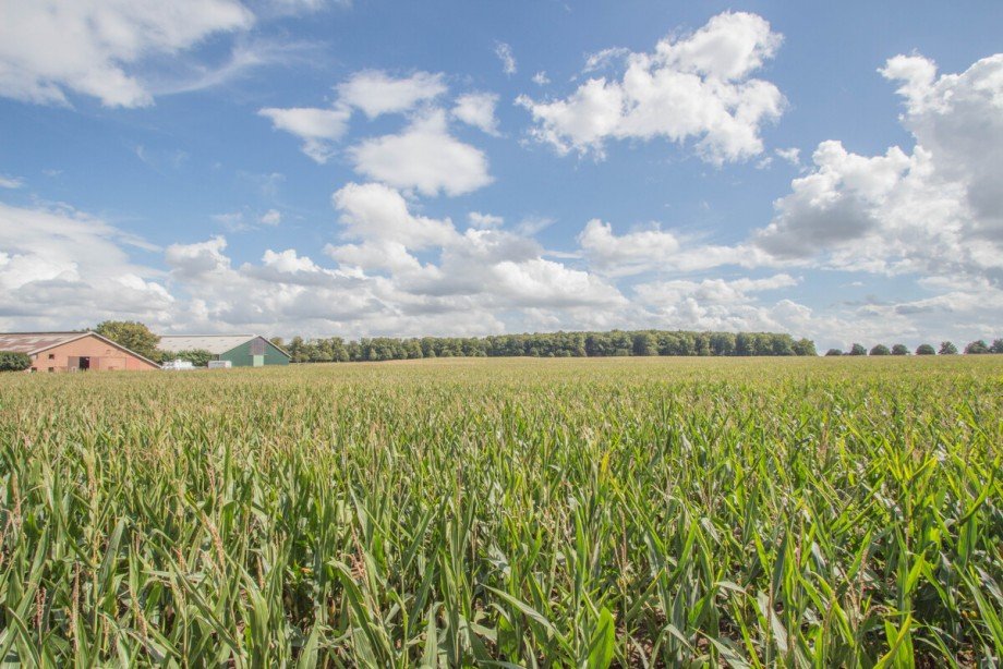 Der Ausblick ins Gr�ne Wohngrundst�ck Korschenbroich